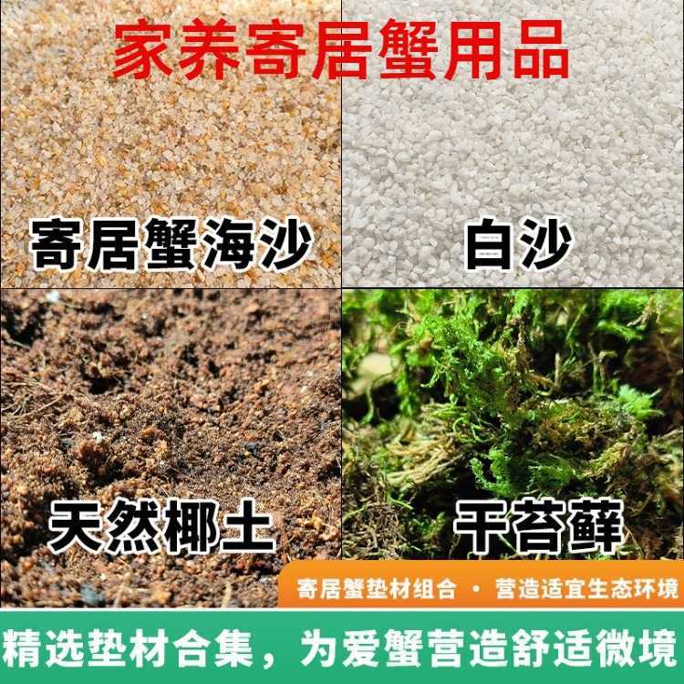 家养寄居蟹用品海沙辣椒蟹螃蟹椰