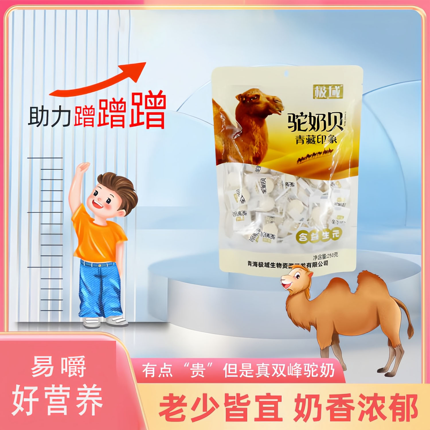 驼奶贝乳酪片乳制品小零食