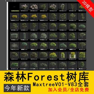 森林-Forest 树库 -Maxtree (V01 -V83) 全套 3DMax模型库