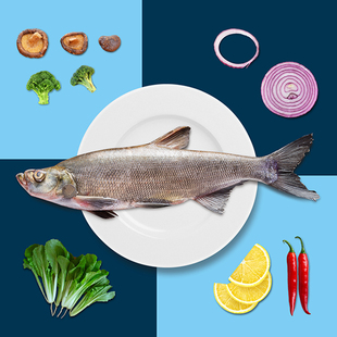 兴凯湖大白鱼 黑龙江冷水鱼 活鱼现杀 鲜鱼到家 顺丰包邮