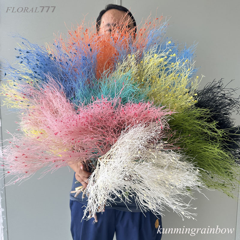 【永生梦幻草】永生花干花花材