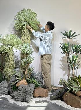模拟波叶金边龙舌兰稻草人沙漠绿色植物盆栽庭院阳台热带风格景观