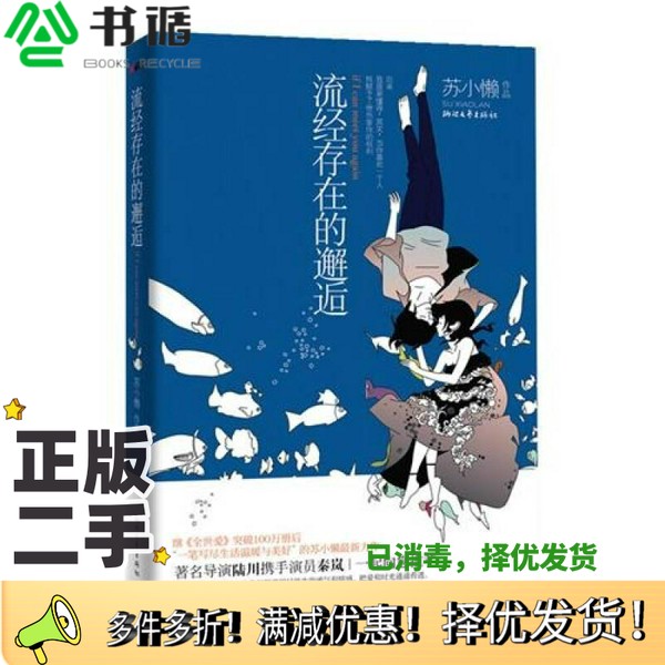 正版二手图书流经存在的邂逅苏小懒著浙江文艺出版社9787533930653