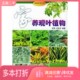 社9787542719331 王圣芹编著上海科学普及出版 正版 二手图书家养观叶植物李萍