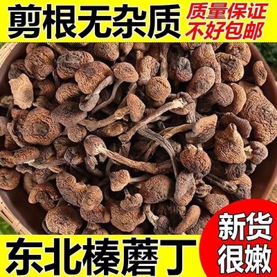 榛蘑东北野生蘑菇干货小鸡炖蘑菇长白山土特产榛蘑丁无根新货包邮