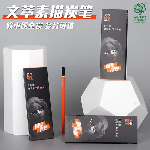 Wencai 98K Arcoal Art Student Testsing Испытание на эскиз Dream Series Servic Tool Srill Sourcore углеродные углеродные чернила Профессиональные угля Специальные мягкие карандаш мягкие и мягкие покраски материалы