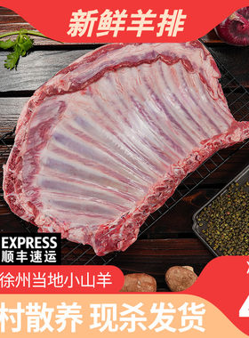 羊排新鲜现杀羊肉烤羊排烧烤食材