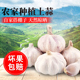 干大蒜头5斤10斤杞县大蒜批发特大新干蒜 蒜头紫皮山东白皮2斤3斤