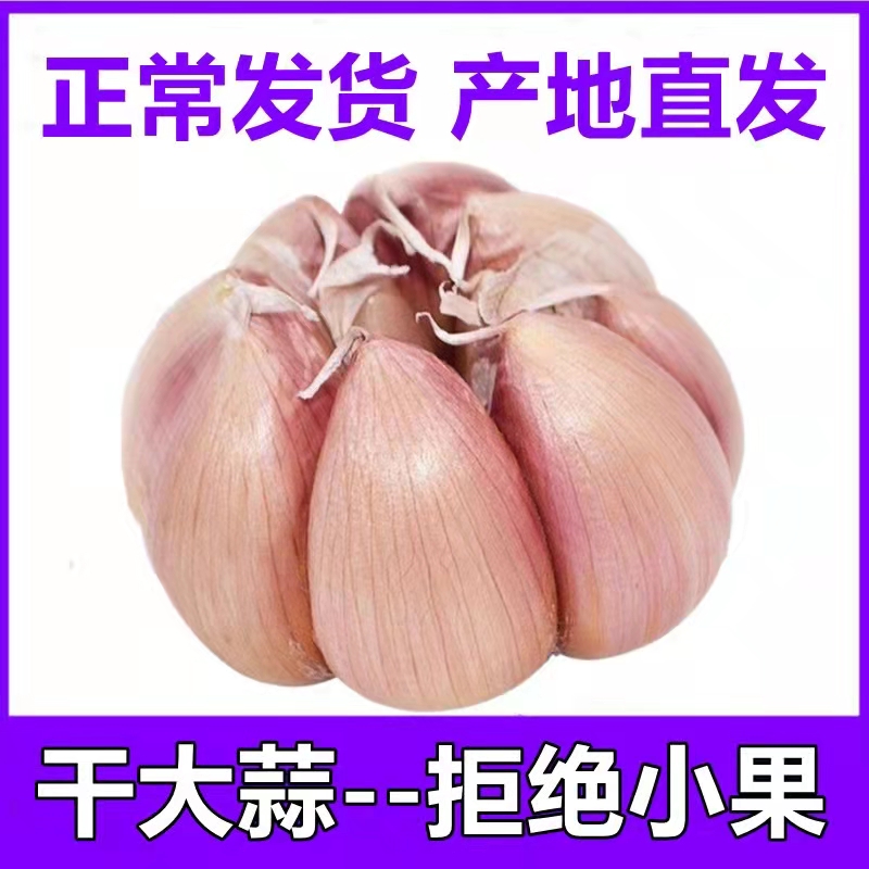 农家自种新鲜紫皮干大蒜耐存放