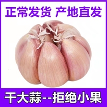 农家自种干大蒜头新鲜白紫皮3510斤装种籽干蒜低价大蒜晒干批发