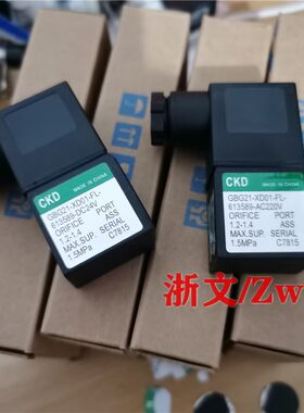 GBG21-XD01-FL-613589线圈