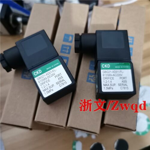 GBG21-XD01-FL-613589线圈