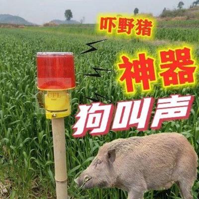 大范围太阳能驱兽器驱鸟野猪狗叫枪声光驱赶果园农田吓野猪大音量