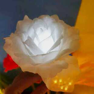 新款直销led玫瑰花海地插灯 户外公园广场草坪灯庭院灯花灯郁金香