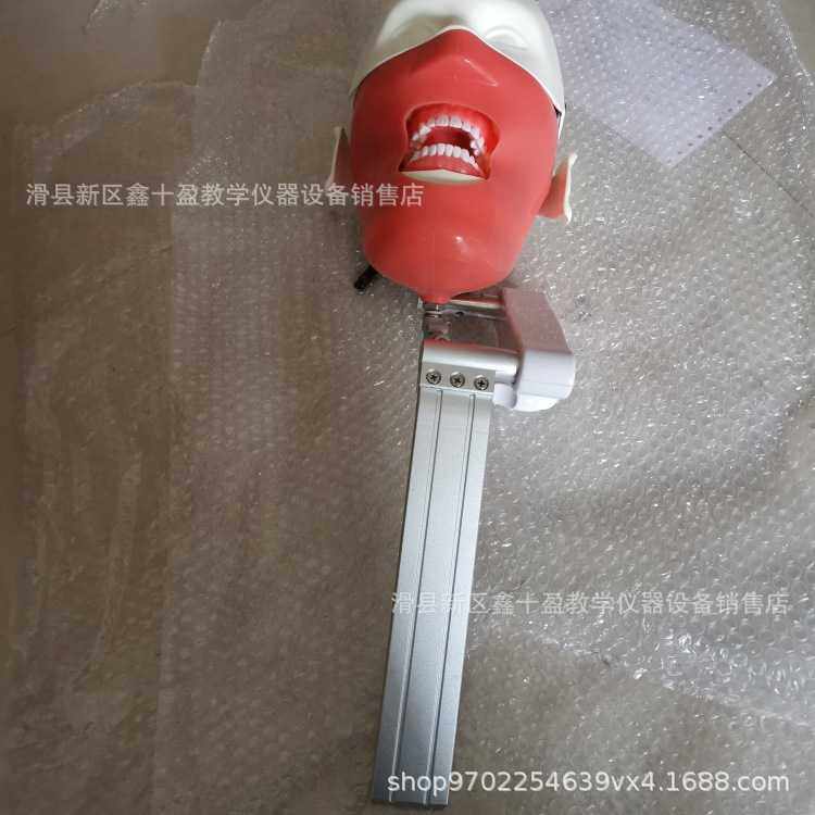 新款直销牙科 头模型 直板插牙椅头枕 橡皮章备牙开髓瓷贴面练习,文具电教/文化用品/商务用品,教学标本/模型,淘宝优惠券,粉丝福利购,淘宝优惠卷