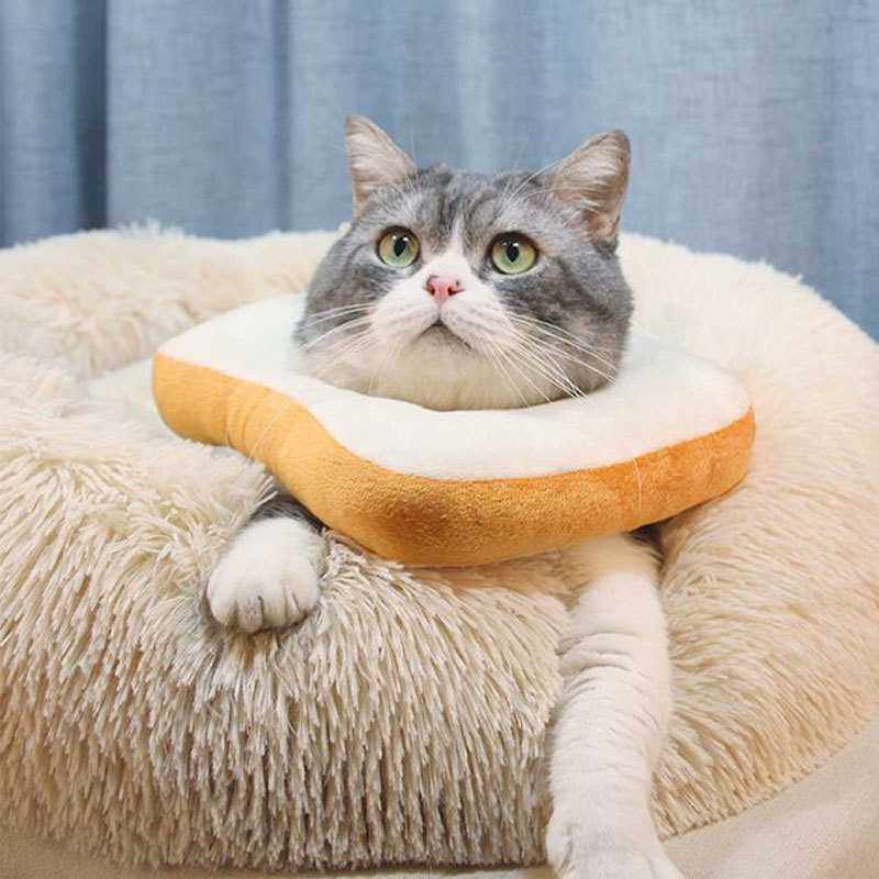 新款直销伊丽莎白圈可调节吐司面包猫绝育猫咪狗狗软项圈防抓防舔,宠物/宠物食品及用品,宠物伊丽莎白圈,淘宝优惠券,粉丝福利购,淘宝优惠卷