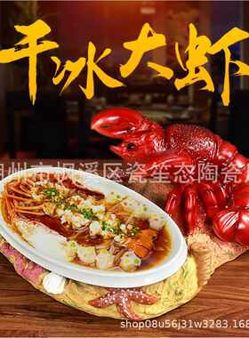 新款直销酒店创意盘子家用个性意境菜餐盘不规则异形干冰烟雾餐具