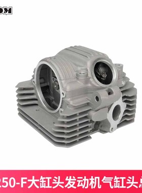 适用于宗申CB250F大缸头发动机气缸头贵尊波速尔M5华阳T4缸头总成