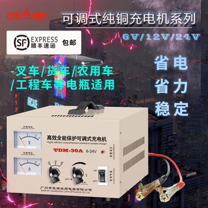 乐牌汽车货车纯铜修复保护充电机