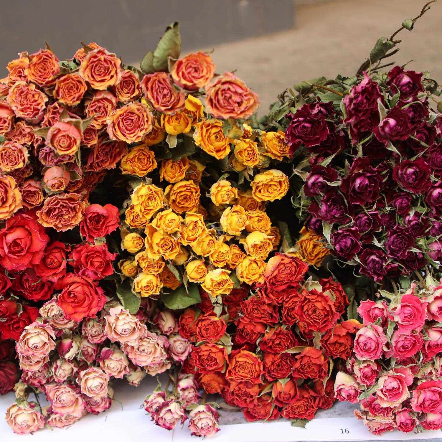 新款直销多头玫瑰干花花束多头泡泡蔷薇玫瑰单头玫瑰干花花束相框,家居饰品,餐桌花艺,淘宝优惠券,粉丝福利购,淘宝优惠卷