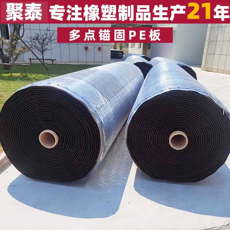 新款直销锚固板聚乙烯混凝土保护衬垫混凝土保护PE板多点锚固PE板