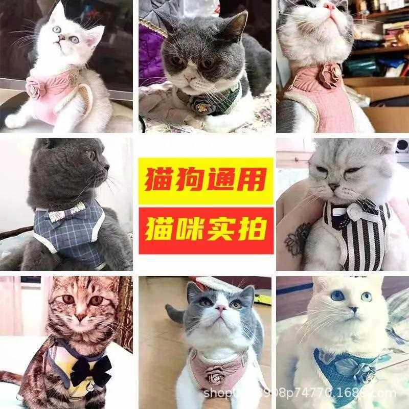 新款直销猫咪牵引绳遛猫专用绳背心式胸背带绳子宠物胸背带狗绳子