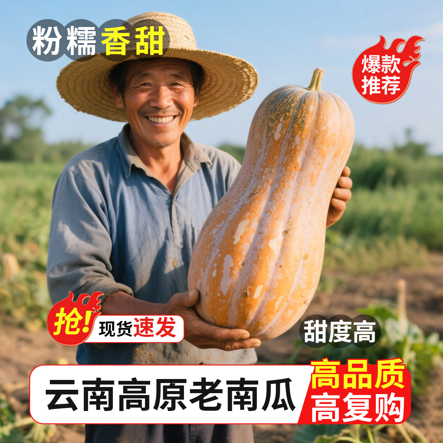 云南本地老南瓜宝宝辅食粉甜糯蜜本南瓜正宗农家自种新鲜蔬菜批发,水产肉类/新鲜蔬果/熟食,南瓜,淘宝优惠券,粉丝福利购,淘宝优惠卷