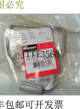 原装供应Burndy WSM1 WEJTAP 支架套装 2 保释件（10 件）-