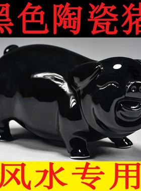 黑色陶瓷猪摆件十二生肖动物小猪家居精雕可爱猪装饰吉祥物工艺礼