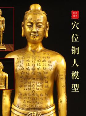 中医经络穴位模型人体解剖结构模型针灸铜人饰品