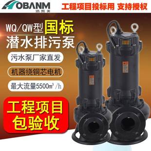 550kw21地下室工程污水泵潜水泵 项目投标 国标WQ排污泵0.75
