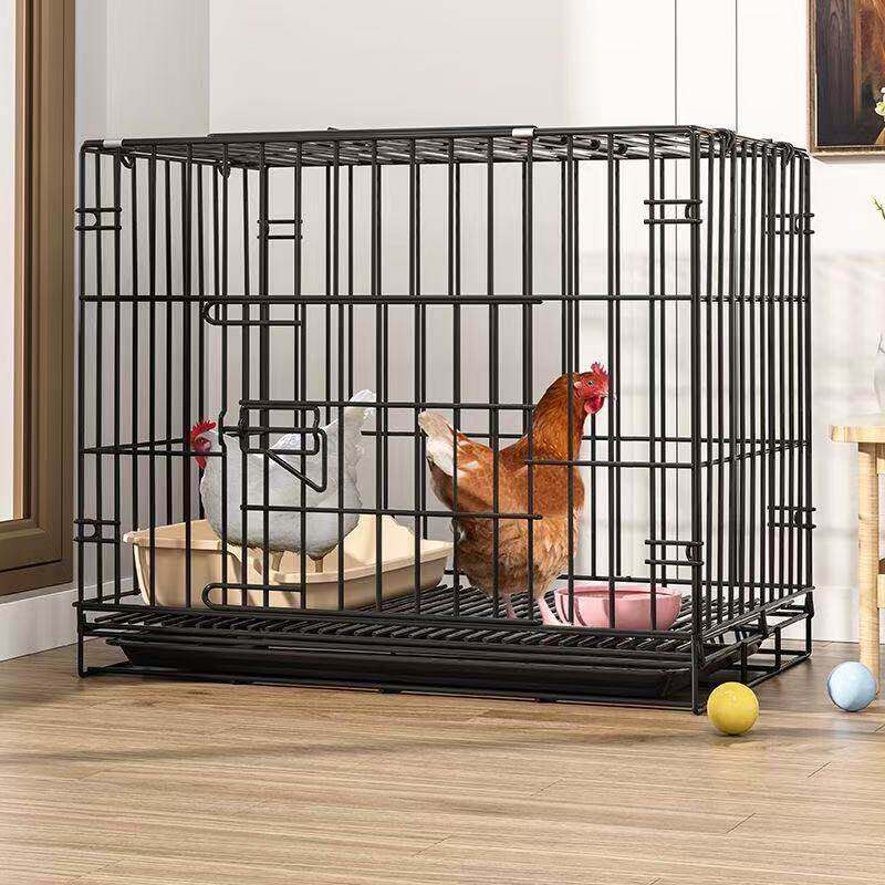 鸡笼子家用室外大号小鸡笼自动清粪母鸡下蛋家用室内养鸡鸭窝防雨
