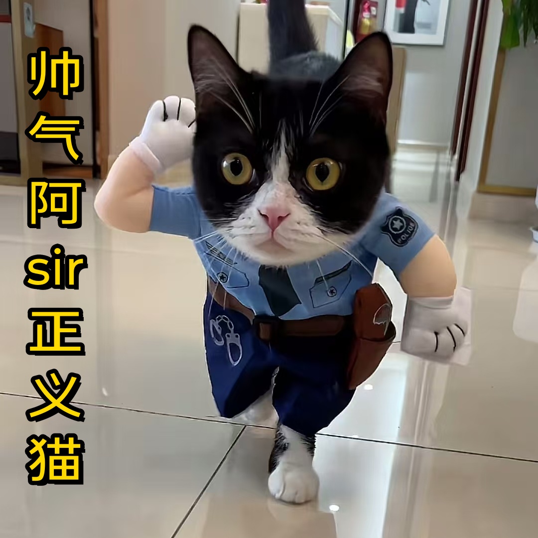 猫咪衣服狗狗宠物服饰可爱小猫咪夏季搞笑搞怪装立体衣服拍摄道具