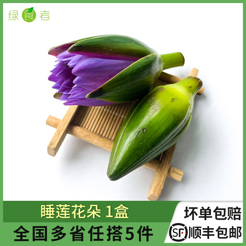 绿食者睡莲花朵摆盘装饰材料图片