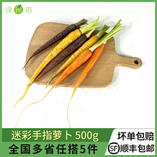 5件 去叶迷彩手指萝卜500g 西餐蔬菜沙拉菜 彩色迷你小胡萝卜 包邮