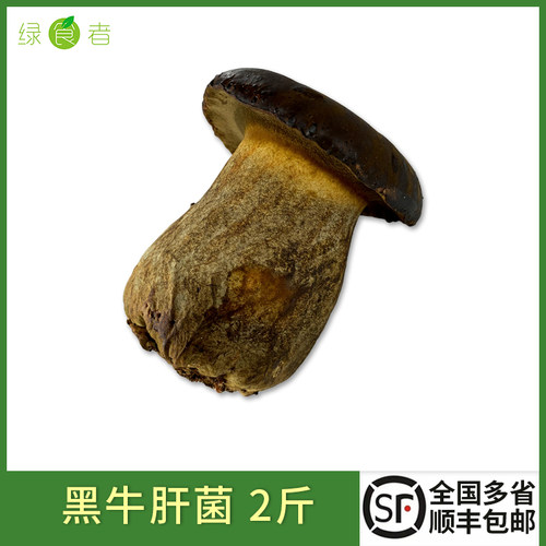 炒菜煲汤火锅食材顺丰黑牛肝菌