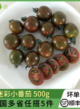 绿食者迷彩小番茄新鲜蔬菜