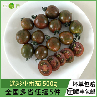 现摘圣女果樱桃小西红柿 新鲜蔬菜 当季 新鲜迷彩小番茄500g
