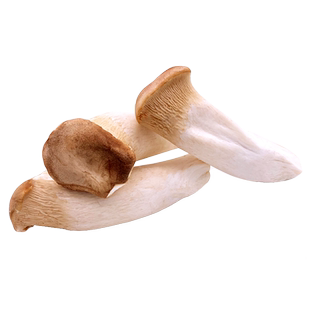 新鲜杏鲍菇500g 美味菌菇蔬菜 肉厚鲜嫩煲汤食材蘑菇 满5件包邮