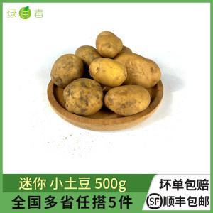 小土豆500g农家黄心山芋