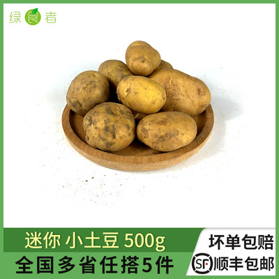 小土豆500g农家黄心山芋