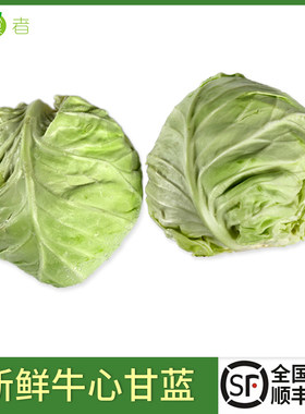 绿食者牛心甘蓝5斤当季蔬菜