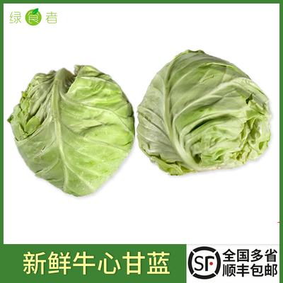 绿食者牛心甘蓝5斤当季蔬菜