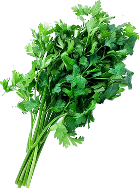 新鲜意大利芹欧芹香芹西餐香料