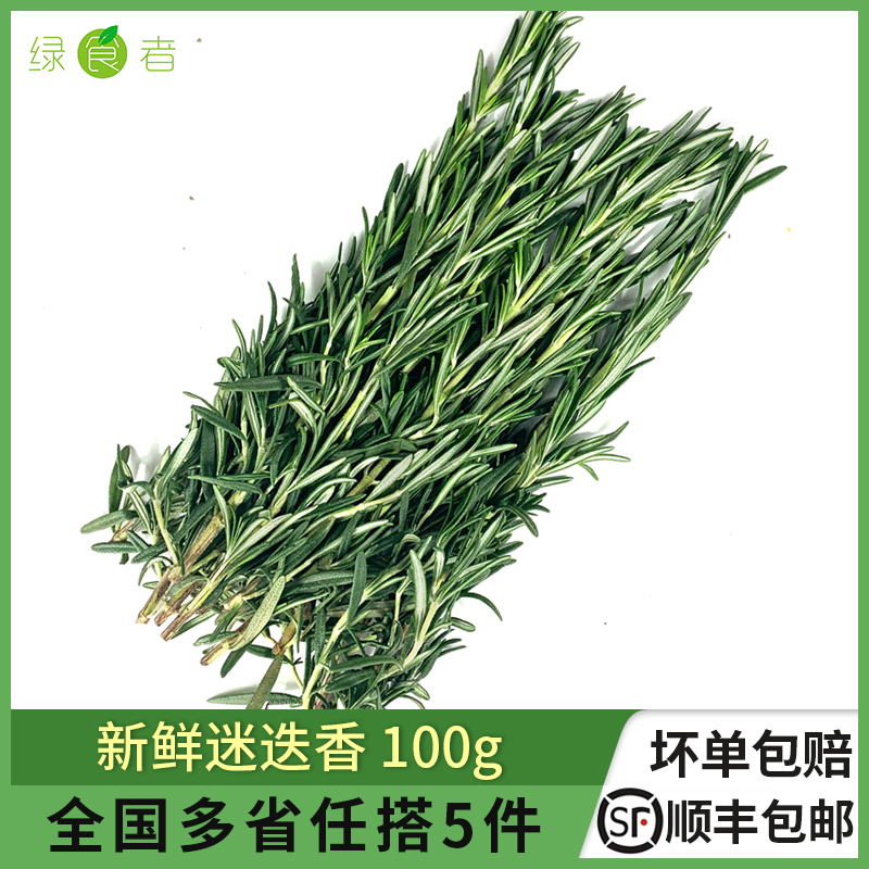 绿食者 新鲜迷迭香100g 迷失香食用牛排西餐烧烤香料调料 5件包邮