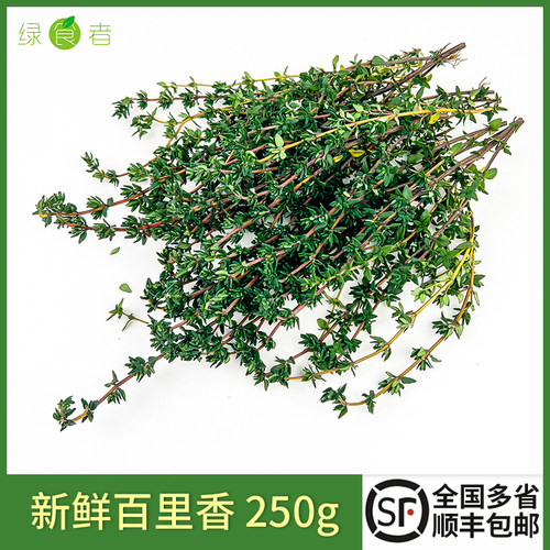 绿食者意大利面肉串调味料百里香