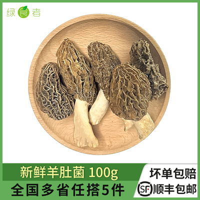 绿食者新鲜羊肚菌食用菌菇