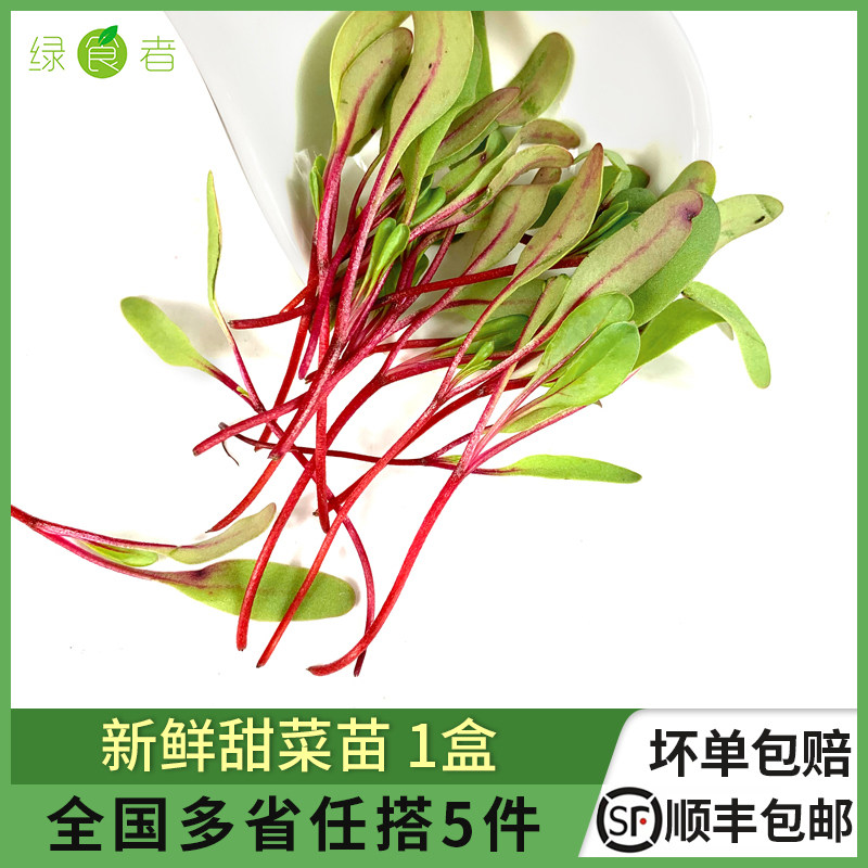 新鲜甜菜苗1盒 蔬菜苗可食用芽苗菜西餐日料摆盘装饰点缀 5件包邮