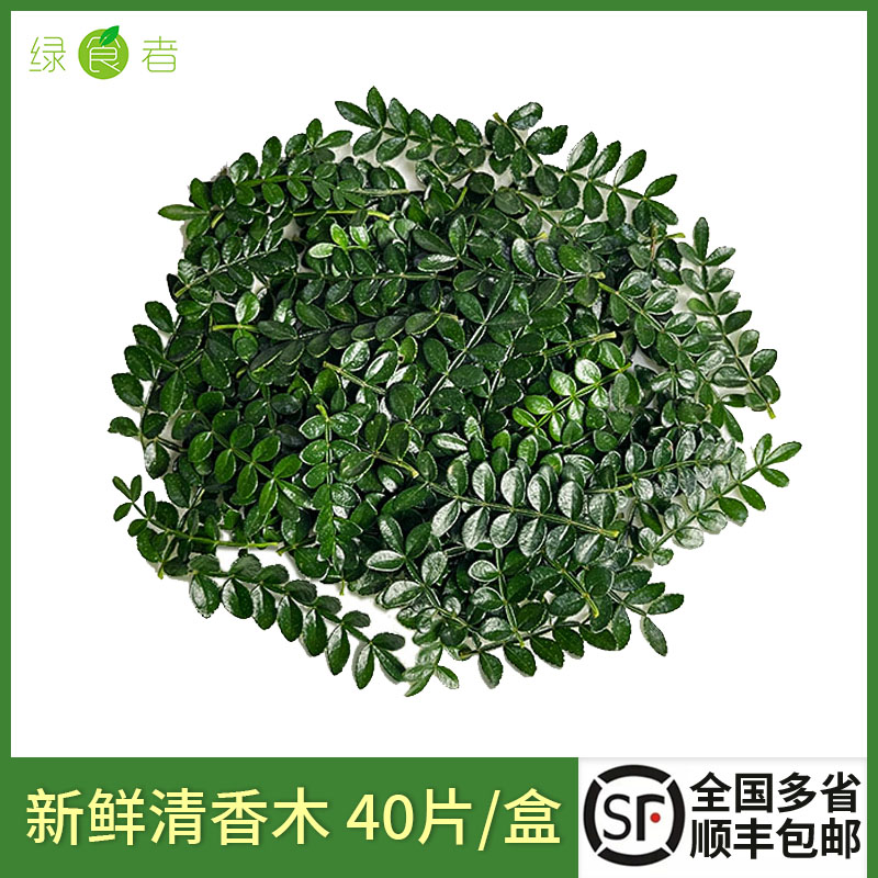 新鲜清香木酒店西餐日料装饰花草