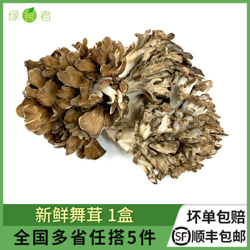 新鲜舞茸灰树花食用菌菇